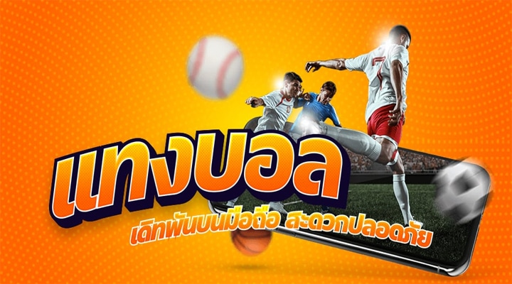 แทงบอล sbobet