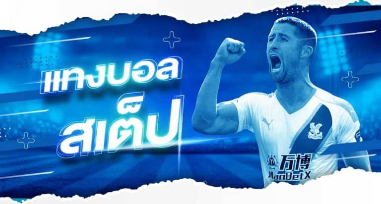 เว็บแทงบอล